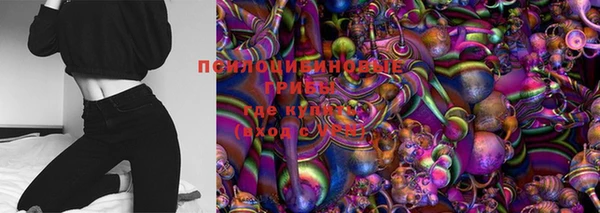 mix Бородино