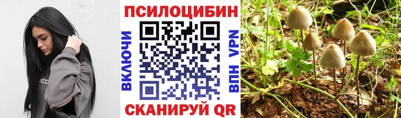 ссылка на мегу вход  Шумиха  Псилоцибиновые грибы мухоморы  где можно купить наркотик 